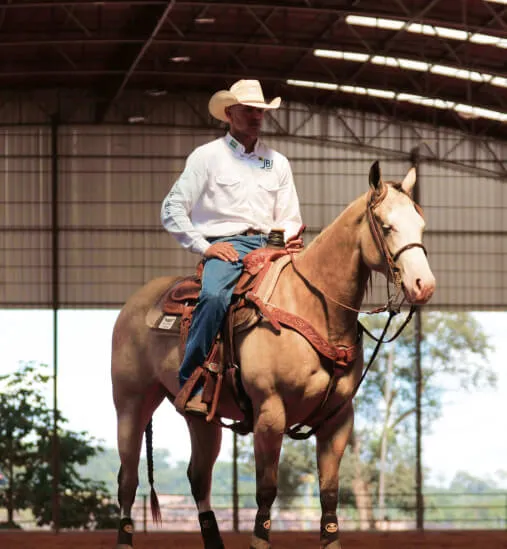 Buckskin Quarter Horse from JBJ Ranch