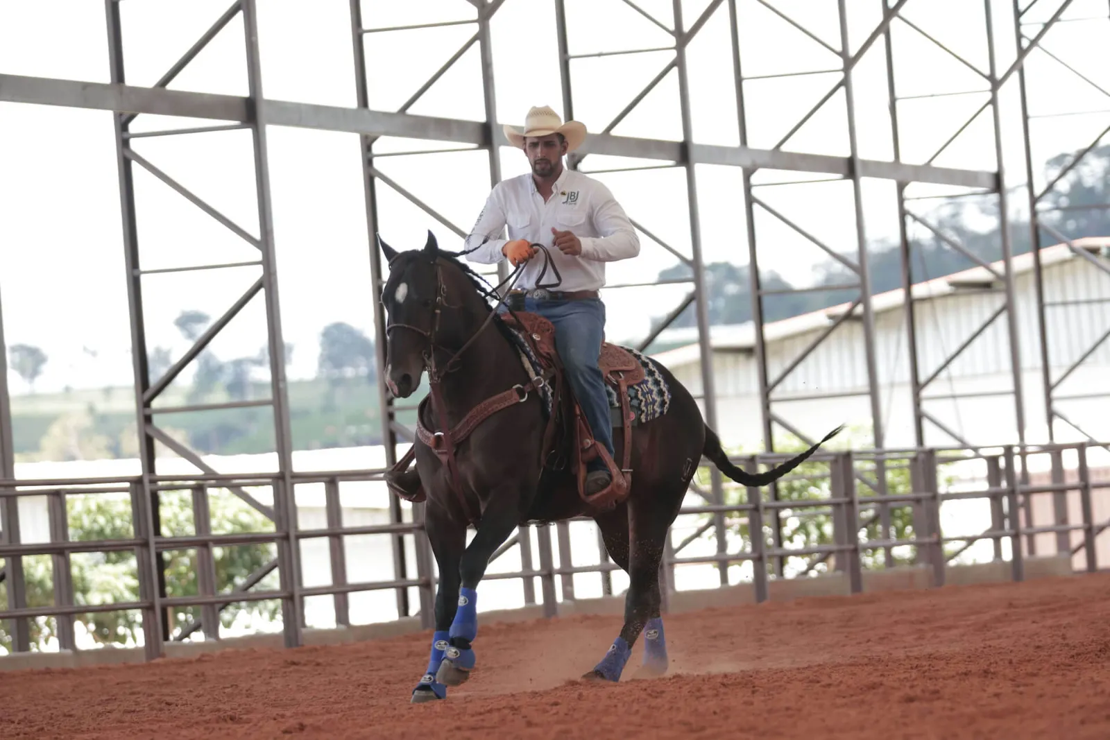 Rider on a black Quarter Horse in the covered arena
